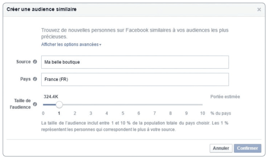 audiencesimilaire