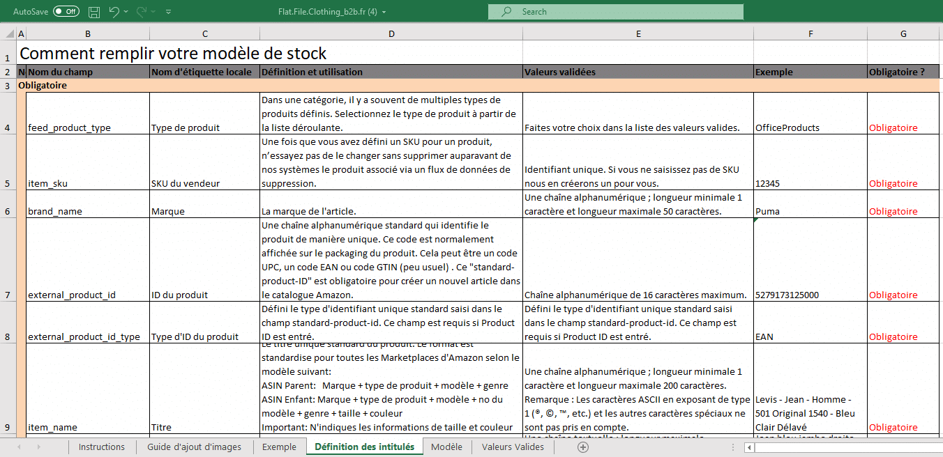 Examples d'un Amazon Flat File (Excel)