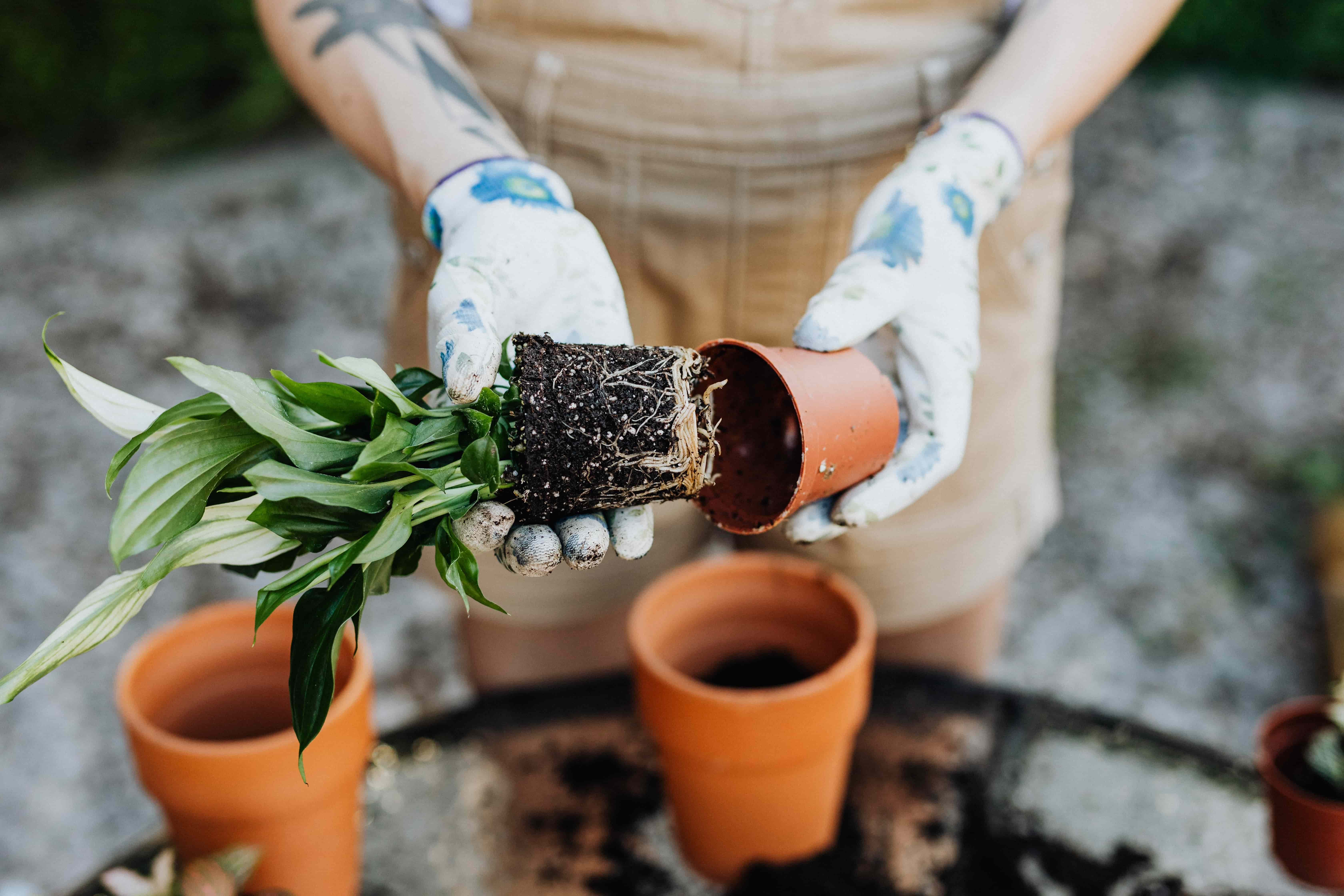 Gardening as one of DIY's categories is bound by seasonality