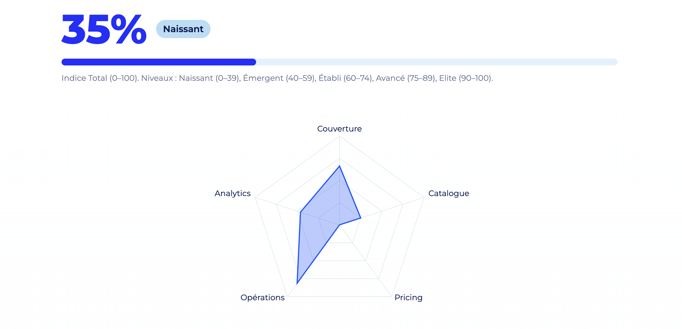 Exemple résultats maturité marketplace